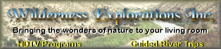 Wilderness Explorations Inc - Bring the wonders of nature to your living room